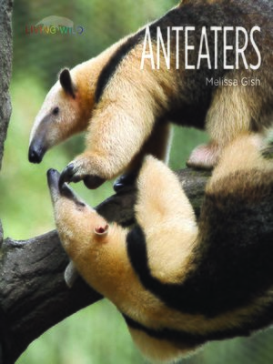 cover image of Anteaters
